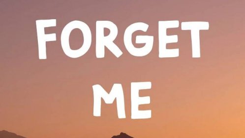 Lewis Capaldi - Forget Me (Lyrics)