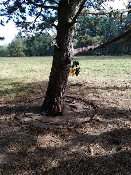 Landart - inspirace krajinou | Atelier Arte
