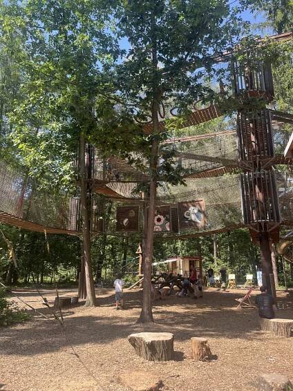 Park Na Větvi je unikátní lanové centrum v korunách stromů | Vyletnik.cz