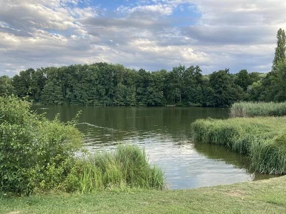 Přírodní koupaliště Motol foto 2