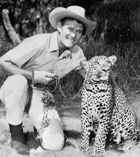 Cowboy in Africa - Wikipedia