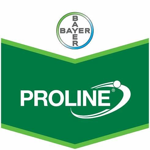 Proline