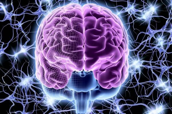 Mind Over Matter: Boost Brain Function with Yoga, Breathwork, and Meditation