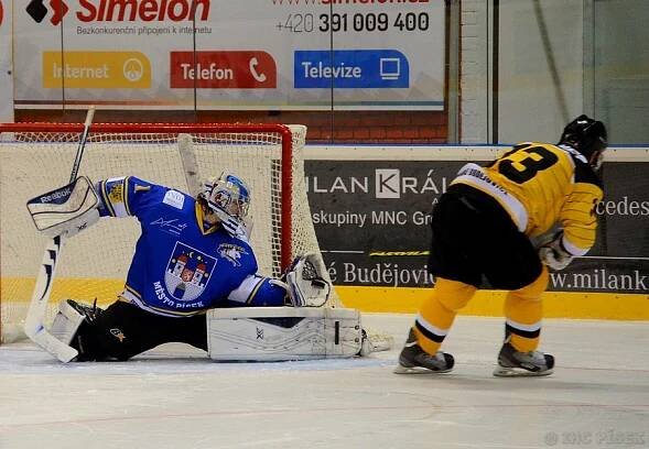 Derby je tady! Do Kotliny přijedou Žihadla z Moravských Budějovic - BK Havlíčkův Brod