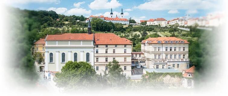 Praha pošle 1,3 milionu korun Nemocnici Milosrdných sester na nákup ultrazvukového diagnostického přístroje