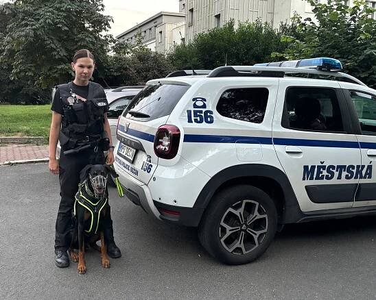 Městská policie v Děčíně má po víc než roce opět psovody. Celkem by tam měli sloužit čtyři
