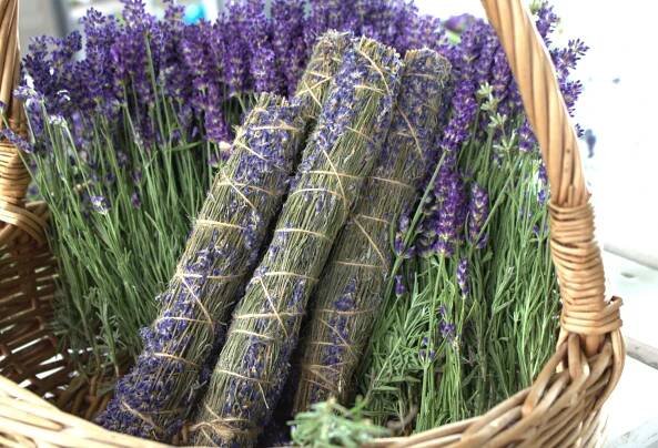 Sklep internetowy z lawendą, plantacja lawendy - Lavendel Natur Haus