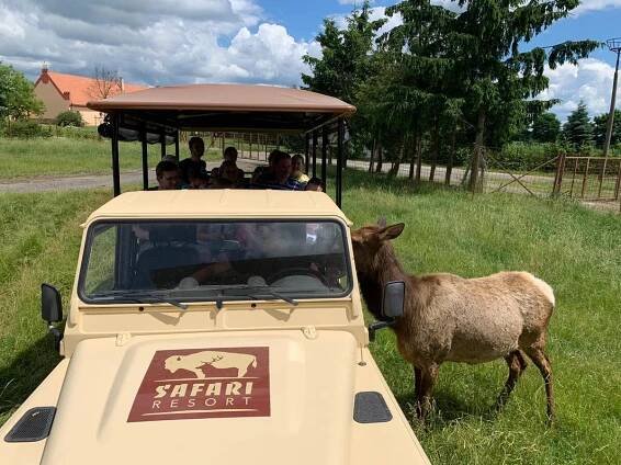 Výlet do safari Hluboká u Borovan