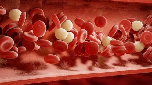 Hustá krev: Co je její příčinou a jak ji léčit?