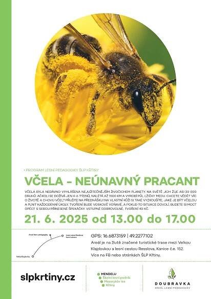 21. 6. 2025 Program lesní pedagogiky v areálu Doubravka - Školní lesní podnik Křtiny