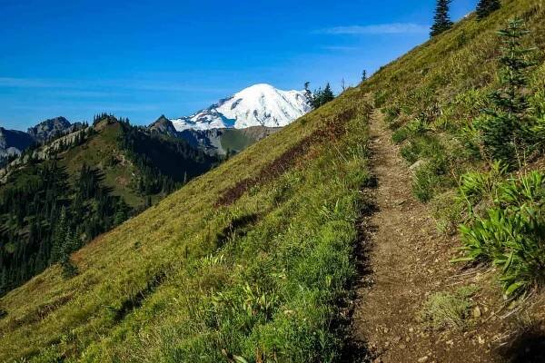 A rugged dirt path winds up a grassy hillside, surrounded by lush green vegetation common in Washington. In the background, a snow-capped mountain rises majestically under the clear blue sky.