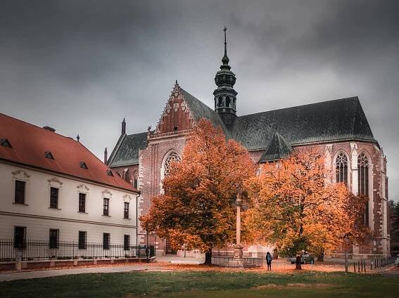 Brno podpoří šesti miliony sociální a zdravotnické projekty