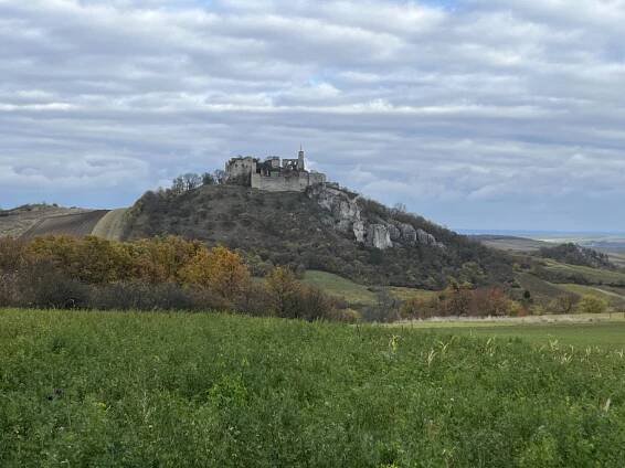 Zřícenina hradu Falkenstein