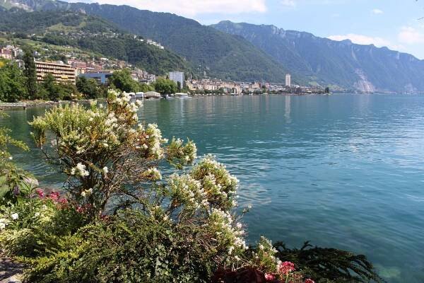 Montreux | Liviagens 