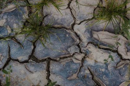 Bezplatný obrázek: Půda v období sucha, sucho, detailní textura