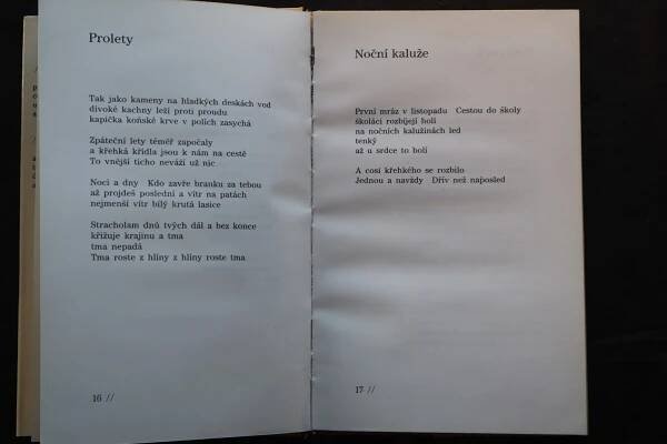 Kdo pije potmě víno, 1988