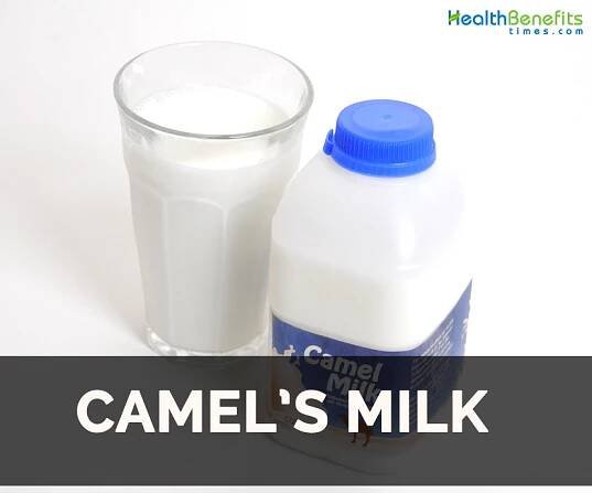 Camel's milk Facts and Health Benefits