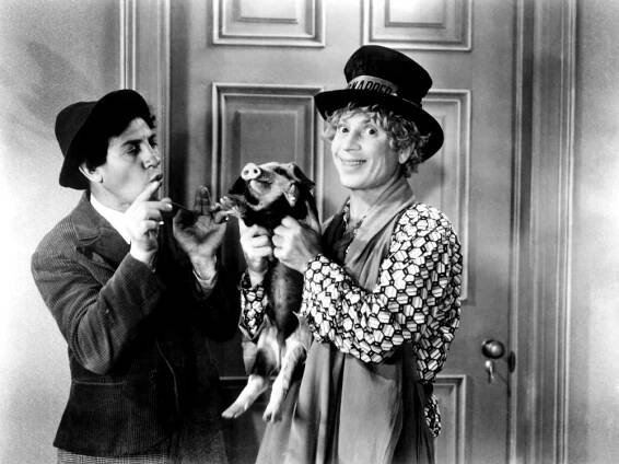 HORSE FEATHERS, Chico Marx, Harpo Marx, 1932