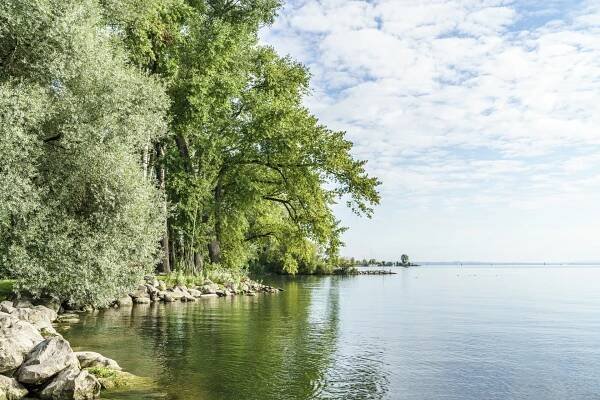 Salmsach Morgenstimmung Bodensee Ausflugstipps