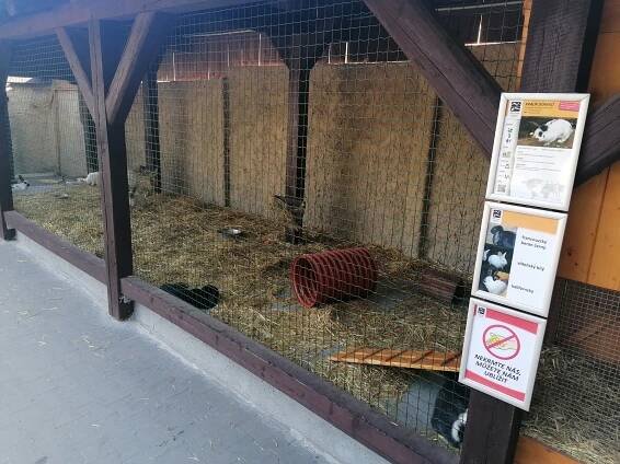 Zoopark Vyškov slaví šedesát let. Nabízí vstup zdarma pro své vrstevníky