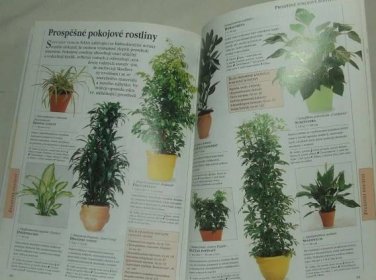 Rostliny v interiéru - R. Lancaster - rostlina - Odborné knihy
