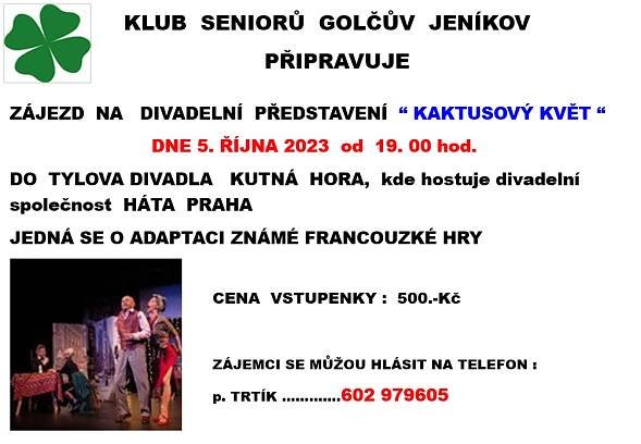 Kaktusový květ