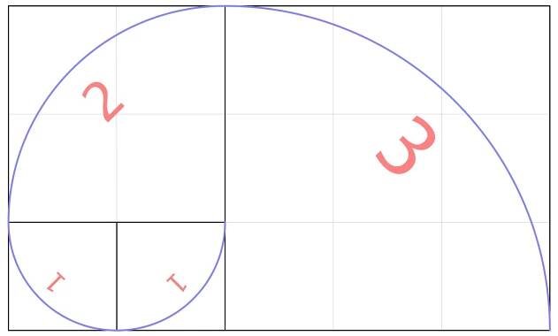 Fibonacci Nautilus (artwork) @ drMathArt: The Mathematical Art of David Reimann