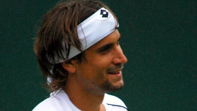 David Ferrer