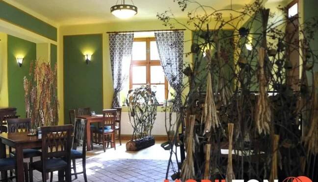 Restaurace Vasirovsky Dvur Od Vlastnika - Vašírov