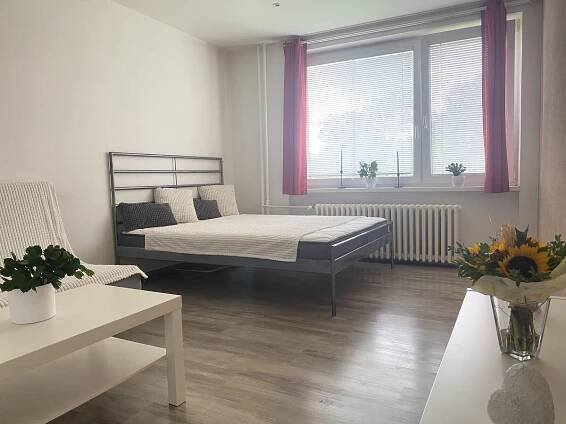 Pronájem Byt 1+1, Heleny Salichové, Ostrava - Polanka nad Odrou