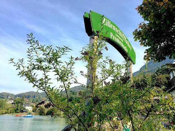 The emerald water of the Fuschlsee lake