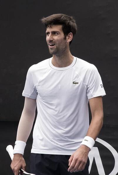 Soubor:Novak Djokovic (Ser) (38823778745) (cropped).jpg – Wikipedie