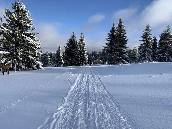 Ski Plešivec