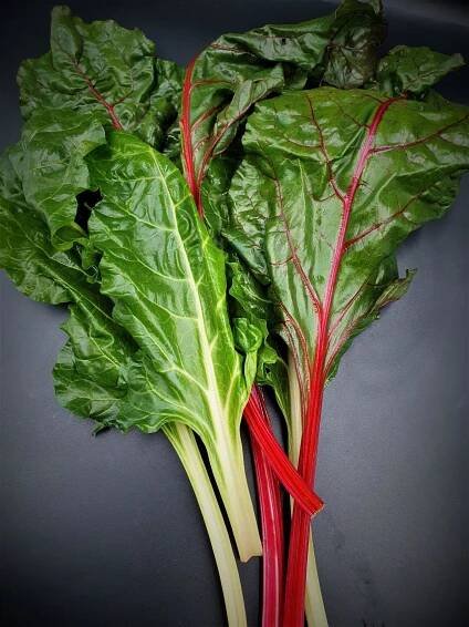 Anglia Produce Ltd