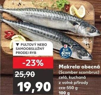 Kaufland Makrela obecná nabídka