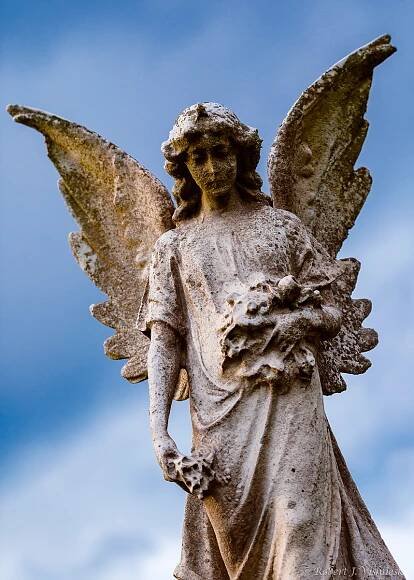 angel