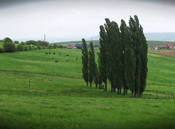 Farma Žlutava foto 2