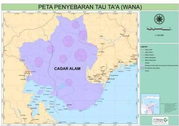 Figure 1. Map of Morowali Nature Reserve, Central Sulawesi, Indonesia and the concentration of Tau Ta’a Wana tribe residences (TN! 2007)  Collection of basic data on Ethnoecological such as Traditional plant uses like ethnobotanical plant uses and traditional classification, in the village has been carried out by using: direct interviews and making transect or plot. (i) Village leaders, religious leaders, traditional healers, government officers and crafts-people are the target group were interviewed during the study. These interviews were recorded with audio recorders and in notebooks. Photographs were also taken to record information (Turner, 1988). (ii) To make more clear the effect of daily activity of local people studied on their environment, a transect or plot has been established where size and form of transect or plot is very depend on environment condition. At least plot size is representative to describe structural and floristic of some different land use types such as: Pristine forest (Primary forest), secondary forest, agroforest system and kebun. The observation was included vernacular name, scientific name, tree height, DBH (diameter breast hight), Individual number of each (tree, belta and seedling), species number, genera number and Family number. All of plant materials used for this purpose have been collected in the field and identification conducted in Herbarium Celebense (CEB) Tadulako University. 