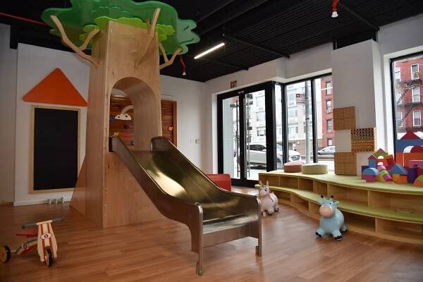 Tree house with slide