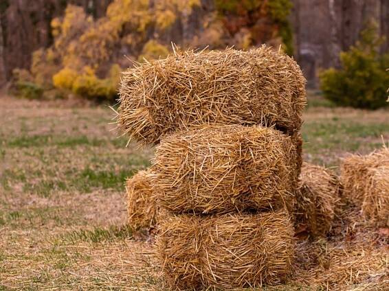 Build A Cheap DIY Cold Frame From Hay Bales