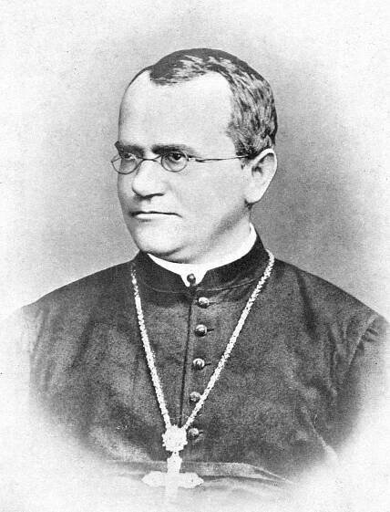 Soubor:Gregor Mendel Monk.jpg