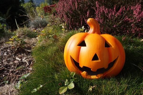 Jak vyřezat dýni na Helloween