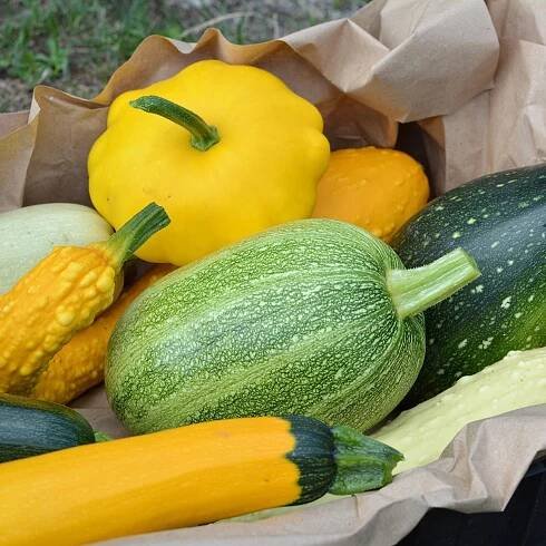 13 Types of Summer Squash (and How to Cook Each One)