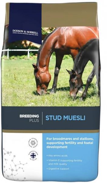 Stud Muesli | For broodmares and stallions | Dodson Horrell