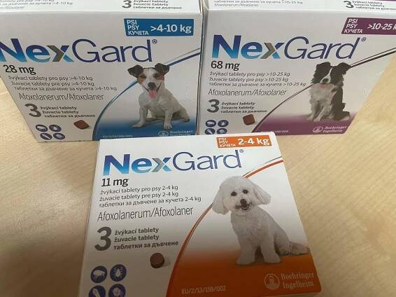 Nexgard pro psy - uVeterinarky.cz