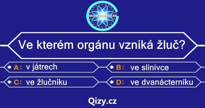Ve kterém orgánu vzniká žluč? - Vědomostní hádanky