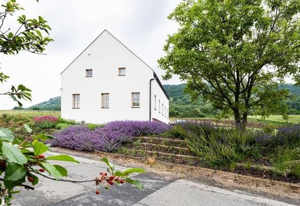 Zahrada ubytování Penzion Nad Pavlovem