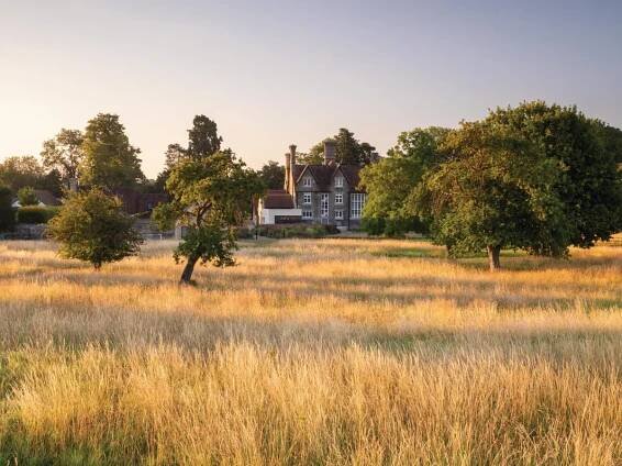 Robert Myers' garden designs at Park House © Richard Bloom