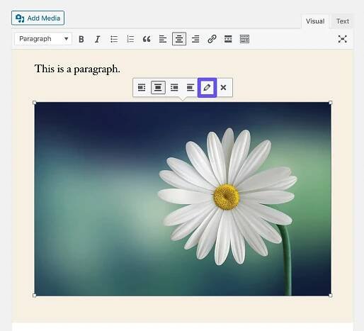 Accesso alle impostazioni dell'immagine nel Classic Editor