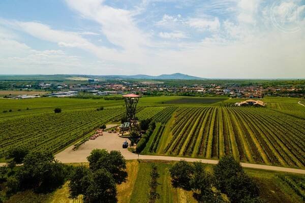 Prodej Pozemek, Velké Pavlovice, okres Břeclav